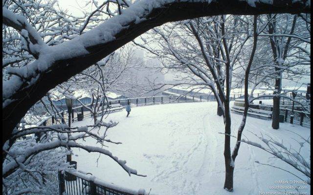 Snow on the Brooklyn Heights Promenade creates a winter wonderland. ©Mark D Phillips