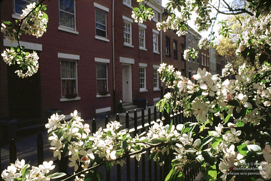 Cobble Hill Park and the Verandah Place mews in Cobble Hill, Brooklyn. ©Mark D Phillips