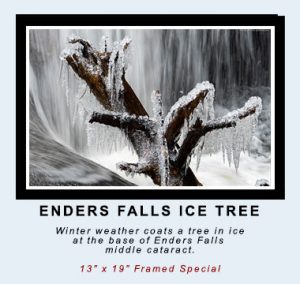 ENDERS FALLS ICE TREE: Winter weather coats a tree in ice at the base of Enders Falls middle cataract. 13” x 19” Framed Special. ©Mark D Phillips