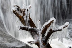 Ice tree created during the winter of 2020 at Enders Falls in Enders State Forest in Granby, Connecticut. Shot at the start of the COVID-19 outbreak, it was one of the few outdoor days when we were learning about the disease. ©Mark D Phillips