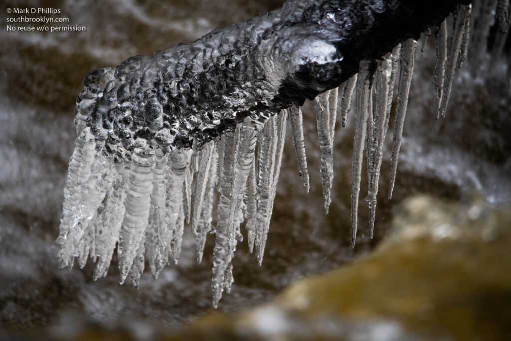 Ice like the teeth of a monster hang from a branch over Enders Falls on Thursday, February 24, 2020, in Barkhamstead, CT. ©Mark D Phillips