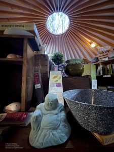 West End Used Books has an actual Yurt full of books and collectibles behind their house full of records, books and toys all presented in themed rooms. ©Mark D Phillips
